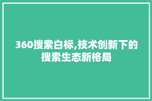 360搜索白标,技术创新下的搜索生态新格局