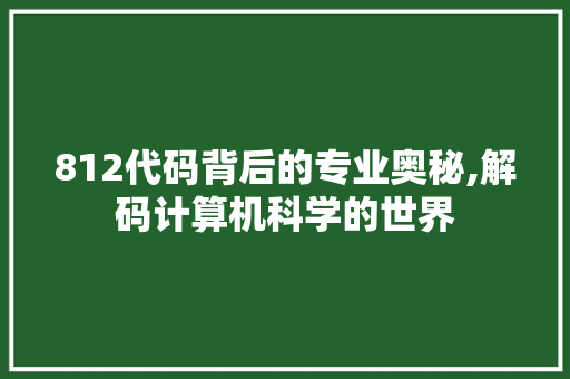 812代码背后的专业奥秘,解码计算机科学的世界