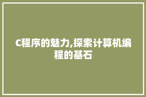 C程序的魅力,探索计算机编程的基石