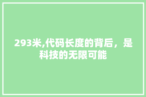 293米,代码长度的背后，是科技的无限可能