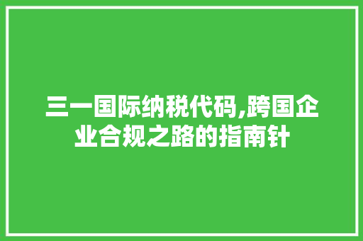 三一国际纳税代码,跨国企业合规之路的指南针 三一国际纳税代码,跨国企业合规之路的指南针 SEO教程