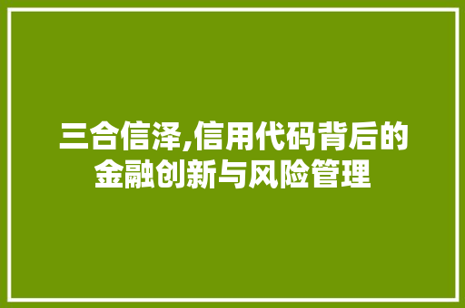 三合信泽,信用代码背后的金融创新与风险管理 三合信泽,信用代码背后的金融创新与风险管理 服务器/数据库