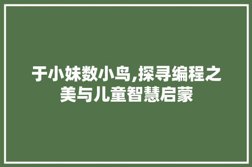 于小妹数小鸟,探寻编程之美与儿童智慧启蒙 于小妹数小鸟,探寻编程之美与儿童智慧启蒙 SEO教程