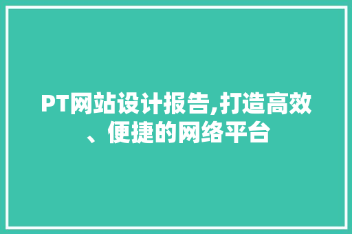 PT网站设计报告,打造高效、便捷的网络平台