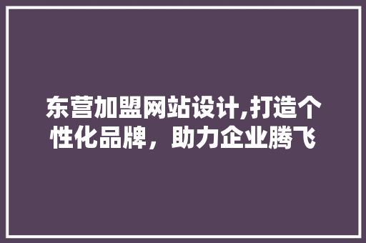 东营加盟网站设计,打造个性化品牌，助力企业腾飞