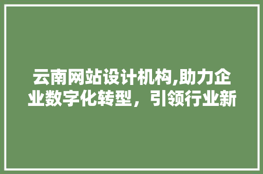 云南网站设计机构,助力企业数字化转型，引领行业新风尚