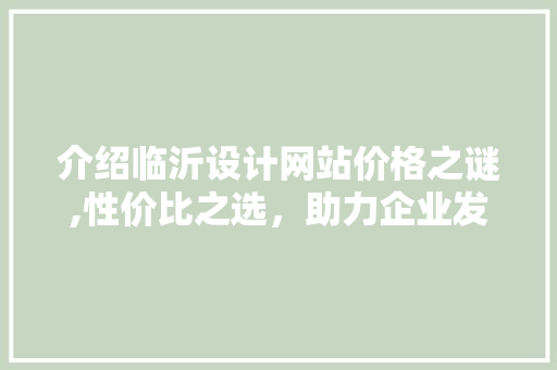 介绍临沂设计网站价格之谜,性价比之选，助力企业发展