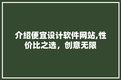 介绍便宜设计软件网站,性价比之选，创意无限