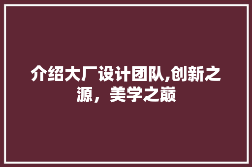 介绍大厂设计团队,创新之源，美学之巅