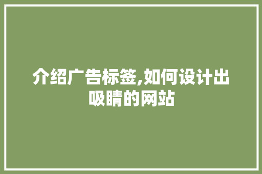 介绍广告标签,如何设计出吸睛的网站
