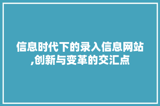 信息时代下的录入信息网站,创新与变革的交汇点