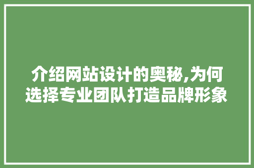 介绍网站设计的奥秘,为何选择专业团队打造品牌形象