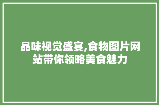 品味视觉盛宴,食物图片网站带你领略美食魅力