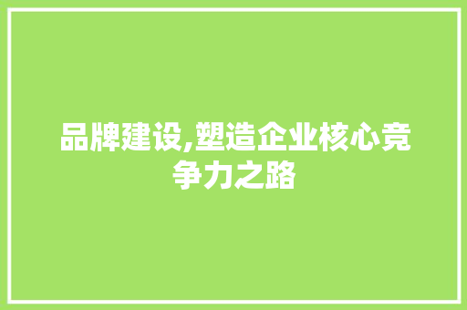 品牌建设,塑造企业核心竞争力之路