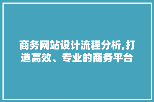 商务网站设计流程分析,打造高效、专业的商务平台