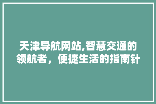 天津导航网站,智慧交通的领航者，便捷生活的指南针
