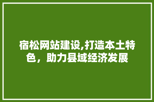 宿松网站建设,打造本土特色，助力县域经济发展 宿松网站建设,打造本土特色，助力县域经济发展 友链在线