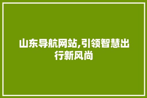 山东导航网站,引领智慧出行新风尚