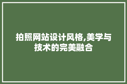 拍照网站设计风格,美学与技术的完美融合
