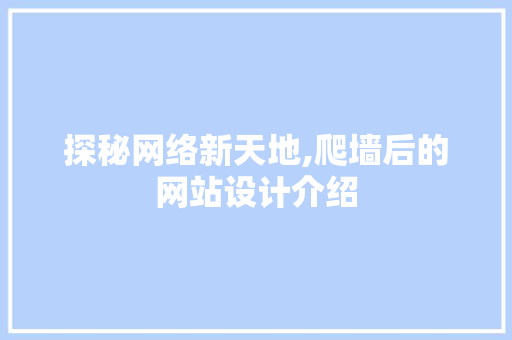 探秘网络新天地,爬墙后的网站设计介绍