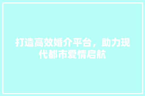 打造高效婚介平台，助力现代都市爱情启航