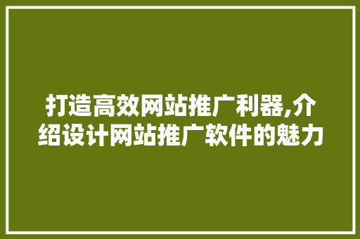 打造高效网站推广利器,介绍设计网站推广软件的魅力