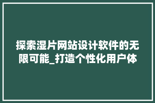 探索湿片网站设计软件的无限可能_打造个性化用户体验