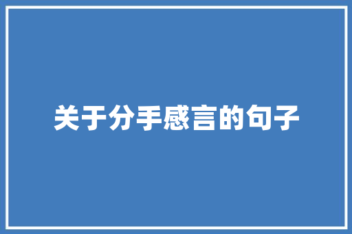 探索电磁探针技术的奥秘,设计网站助力科技创新