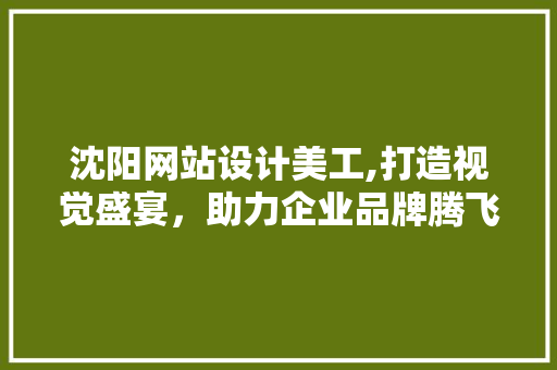 沈阳网站设计美工,打造视觉盛宴，助力企业品牌腾飞