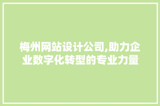 梅州网站设计公司,助力企业数字化转型的专业力量