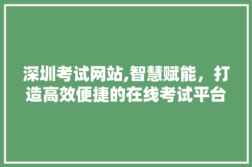 深圳考试网站,智慧赋能，打造高效便捷的在线考试平台
