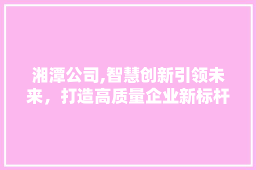 湘潭公司,智慧创新引领未来，打造高质量企业新标杆