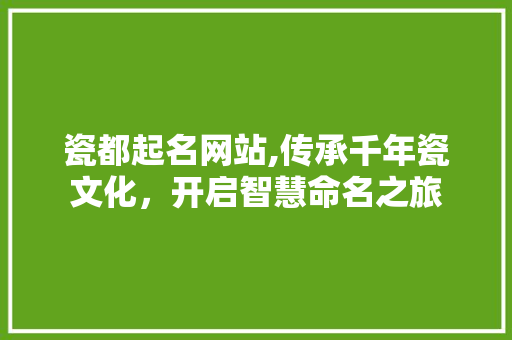 瓷都起名网站,传承千年瓷文化，开启智慧命名之旅