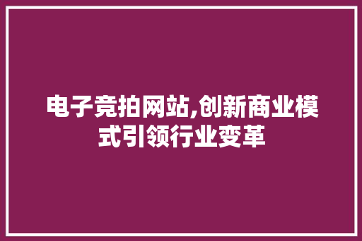 电子竞拍网站,创新商业模式引领行业变革