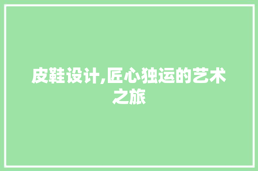 皮鞋设计,匠心独运的艺术之旅