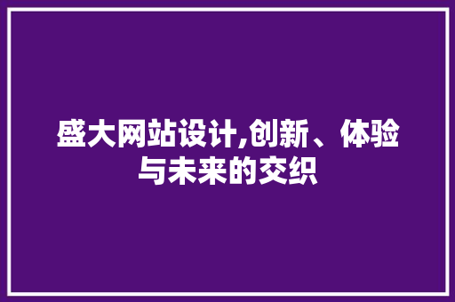 盛大网站设计,创新、体验与未来的交织