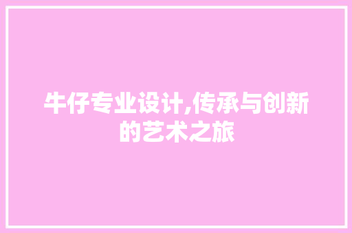 牛仔专业设计,传承与创新的艺术之旅