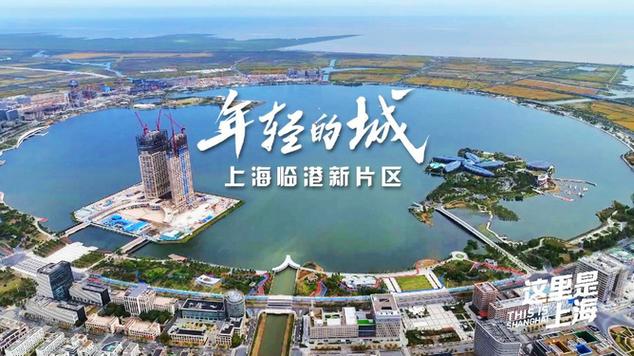 临港区,引领区域经济发展的新引擎 临港区,引领区域经济发展的新引擎 SEO教程