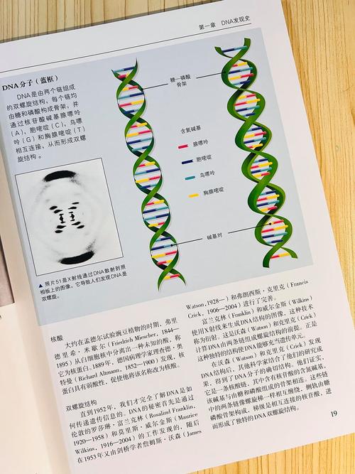 基因组网站搭建,探索生命奥秘的数字桥梁 基因组网站搭建,探索生命奥秘的数字桥梁 友链在线