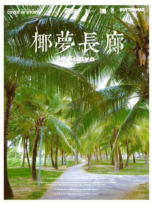 椰树,热带风情的绿色瑰宝，助力我国生态文明建设 椰树,热带风情的绿色瑰宝，助力我国生态文明建设 Web前端