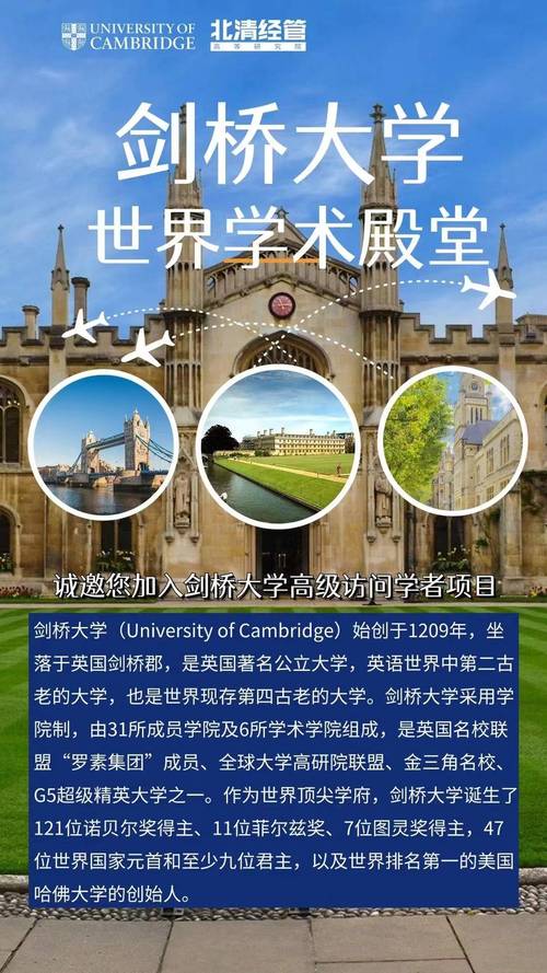 汉译英网站设计与实现,助力跨文化交流的桥梁 汉译英网站设计与实现,助力跨文化交流的桥梁 服务器/数据库