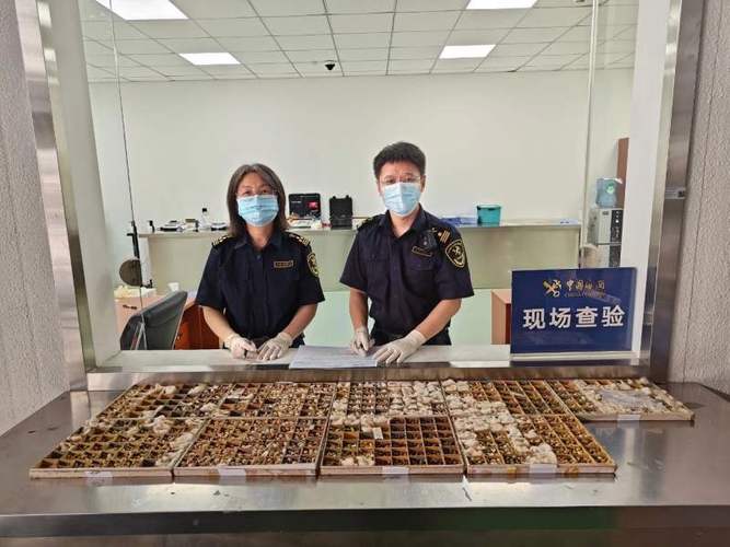 洋山海关区,打造国际一流港口的示范窗口 洋山海关区,打造国际一流港口的示范窗口 SEO教程