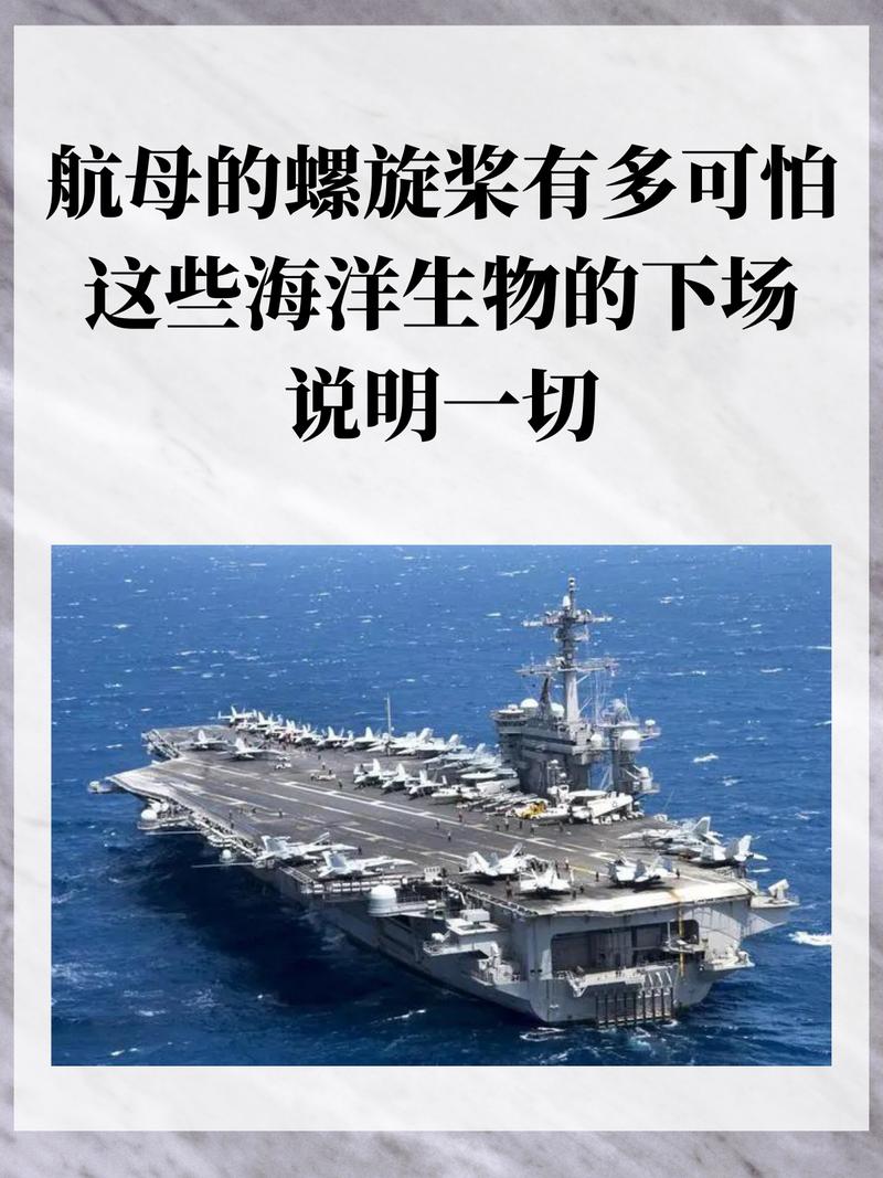 海洋大型网站制作,构建海洋信息领域的航母级平台 海洋大型网站制作,构建海洋信息领域的航母级平台 友链在线