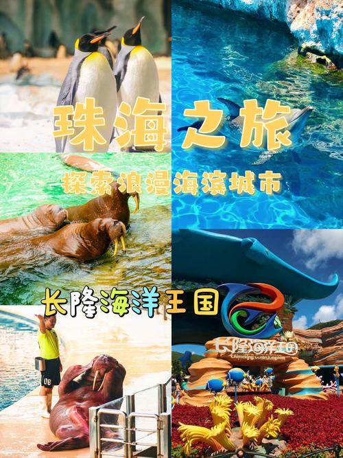珠海网站,探索这座海滨城市的数字窗口 珠海网站,探索这座海滨城市的数字窗口 Web前端