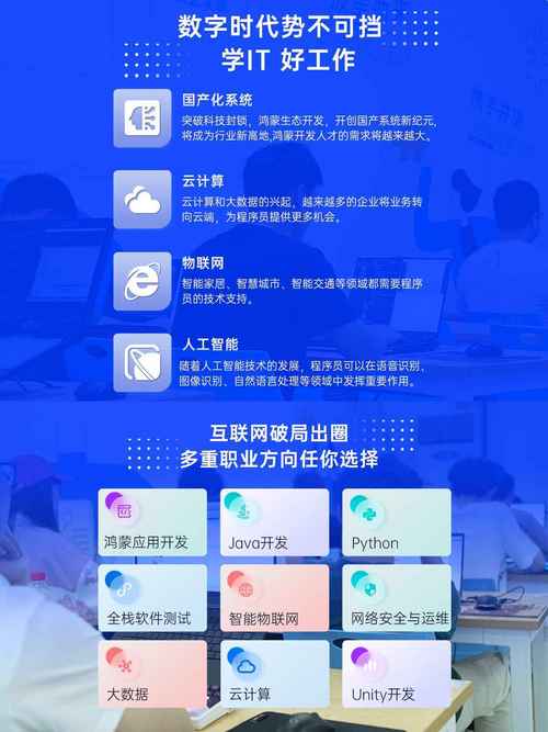 网站域名分类分析,数字时代的门户钥匙 网站域名分类分析,数字时代的门户钥匙 WordPress教程