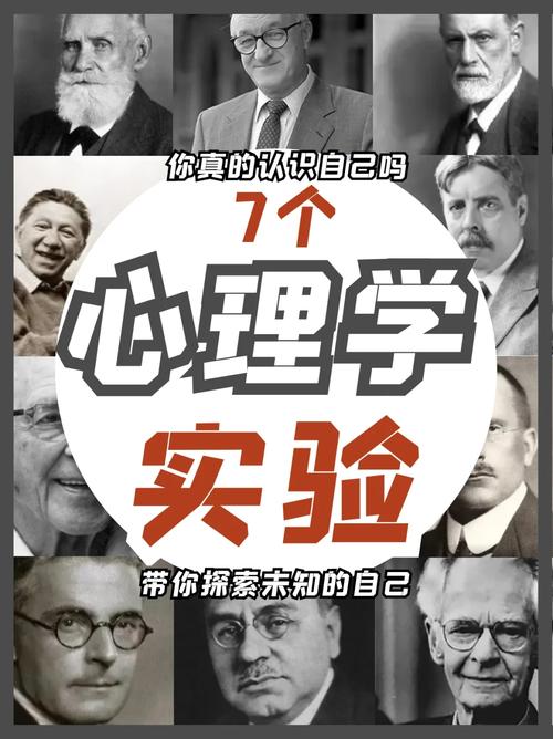 HML实验,探索人类行为背后的心理机制 HML实验,探索人类行为背后的心理机制 Web前端