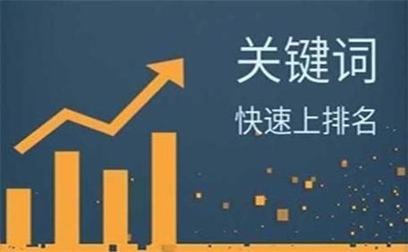 SEO优化,把握未来，助力企业腾飞 SEO优化,把握未来，助力企业腾飞 友链在线