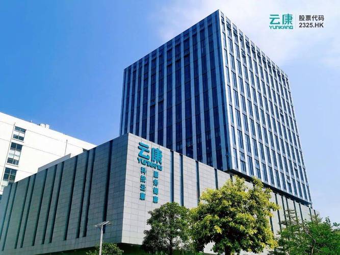 云康集团香港代码背后的商业传奇,科技赋能下的健康管理先锋 云康集团香港代码背后的商业传奇,科技赋能下的健康管理先锋 WordPress教程