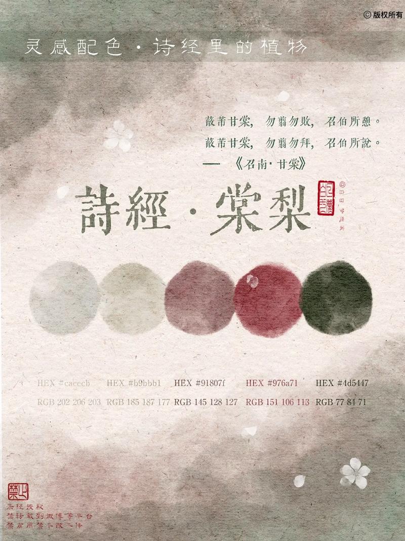 《诗经》之美,古典与现代交织的网站设计灵感 《诗经》之美,古典与现代交织的网站设计灵感 建站教程