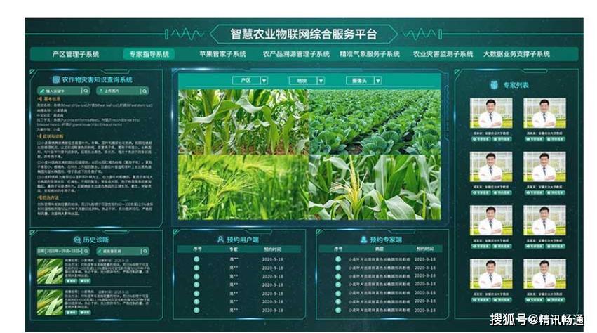 农业网站设计与创新,打造高效农业信息服务平台 农业网站设计与创新,打造高效农业信息服务平台 服务器/数据库